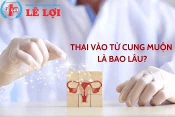 Thai vào tử cung muộn nhất là bao lâu?